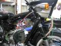 IMG_8457gt.jpg