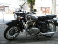 IMG_8599tt.jpg