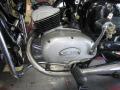 IMG_8626tt.jpg