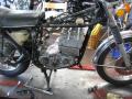 IMG_8656gt.jpg
