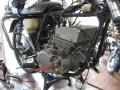 IMG_8665gt.jpg