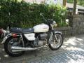 IMG_8700gt.jpg