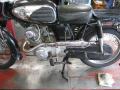 IMG_8973cd.jpg