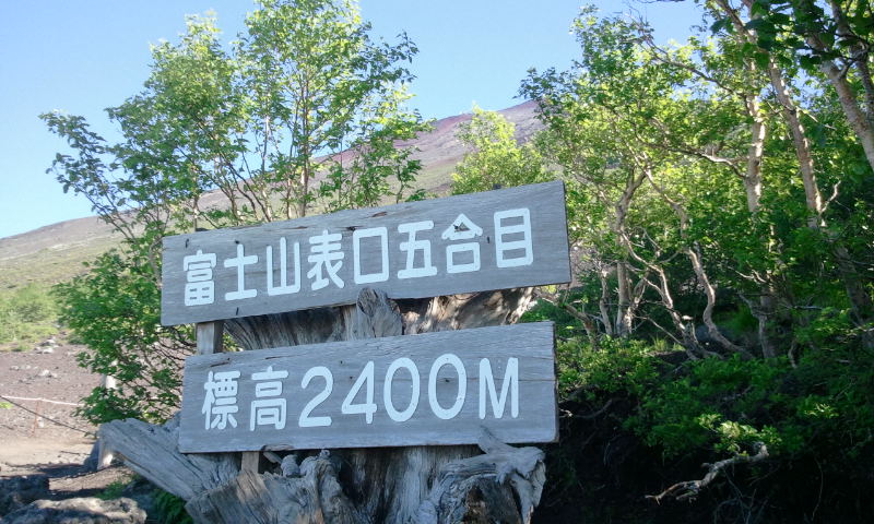 2012-07-17 07.42.14