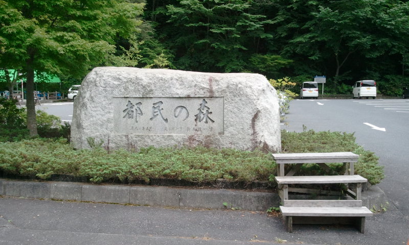 2012-08-01 10.53.11