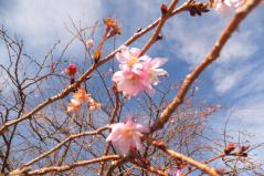DSCF3834.jpg