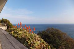DSCF3858.jpg