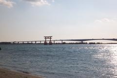 DSCF3991.jpg