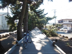DSCN4394.jpg