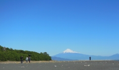 DSCN4410.jpg