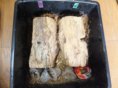 DSCF1645.jpg