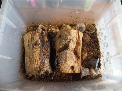 DSCF1649.jpg