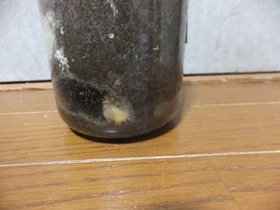 DSCF2036.jpg