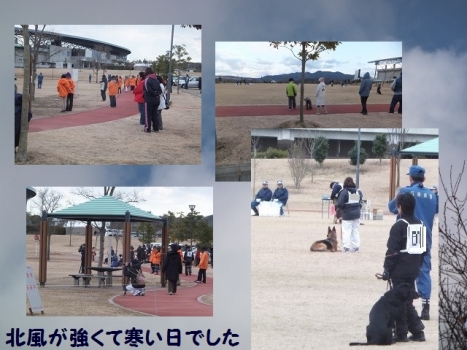 嘱託審査競技会