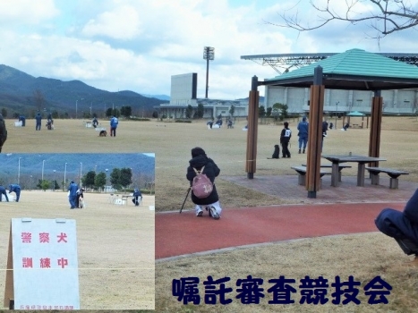 嘱託審査競技会
