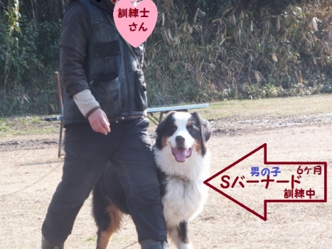 訓練