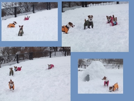 雪 遊び