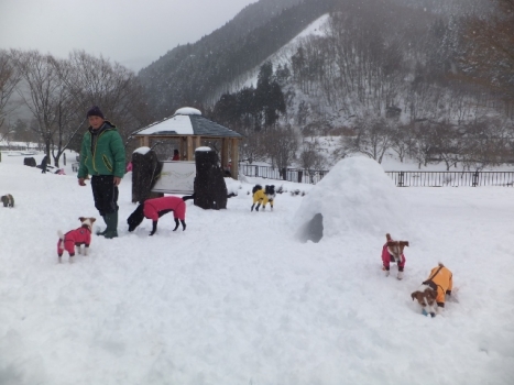 雪 遊び