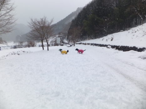 雪 遊び