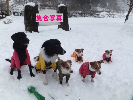 雪 遊び