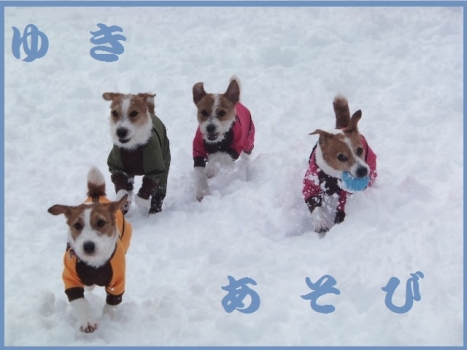 雪 遊び