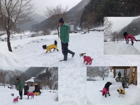 雪 遊び