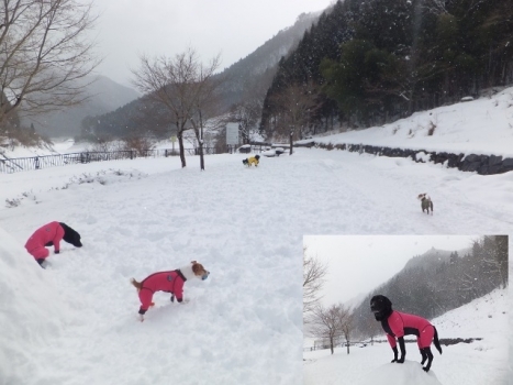 雪 遊び