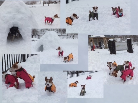 雪 遊び