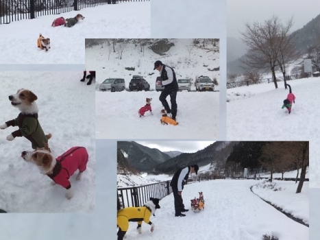 雪 遊び