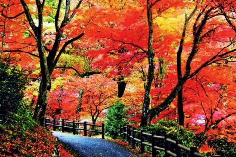 養老