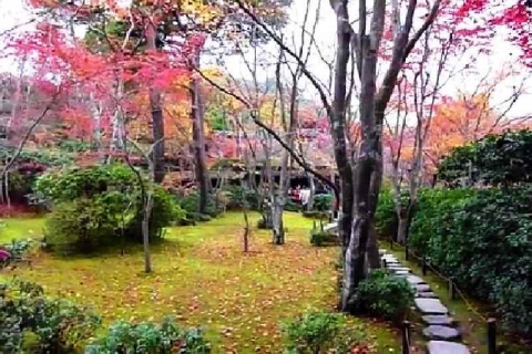 京都 大河内山荘庭園の紅葉15