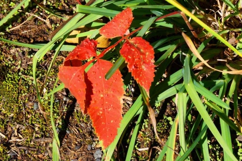 DSC01149.jpg