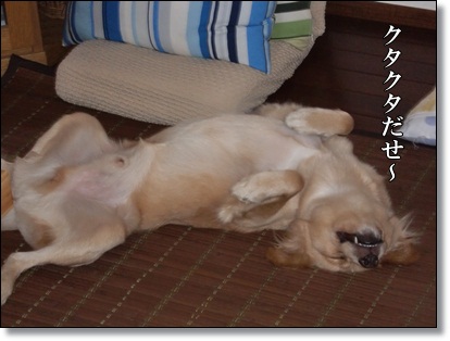 クタクタ