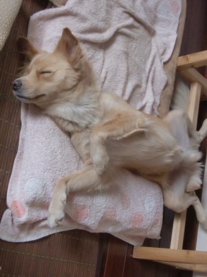 熟睡