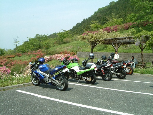 52002.jpg