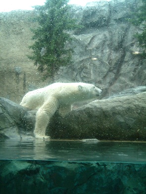 F0036.jpg