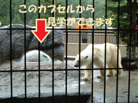 F0038.jpg
