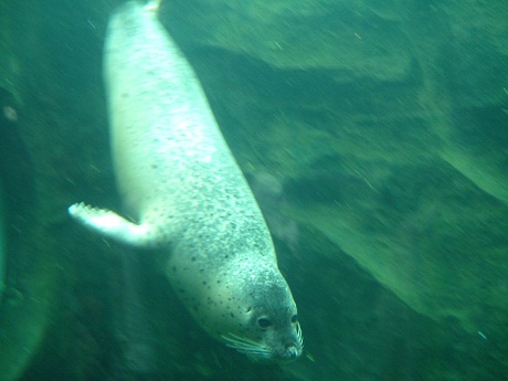 F0043_20120912201317.jpg
