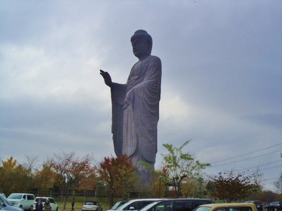 IMGP9850.jpg