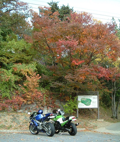 N19.jpg