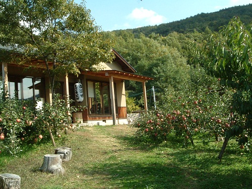 N7.jpg