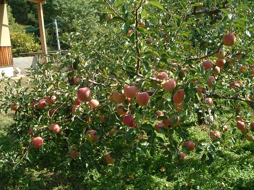 N8.jpg