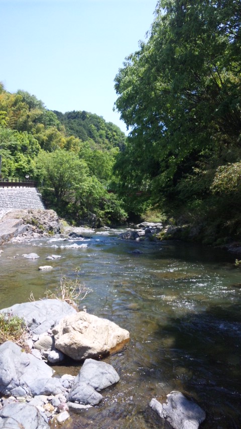 PAP_0240.jpg
