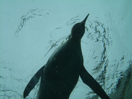 SCF0004.jpg