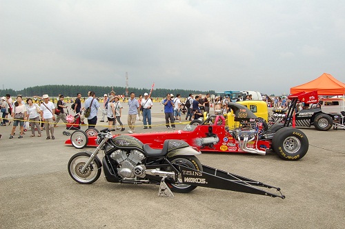 Y08.jpg