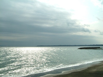 j16.jpg