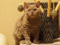 120804_selkirk_maru1