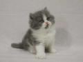 2013_0111selkirk_b&w-boy1