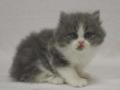 2013_0111selkirk_b&w-boy4