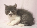 selkirk_140106_blue&w_b-2